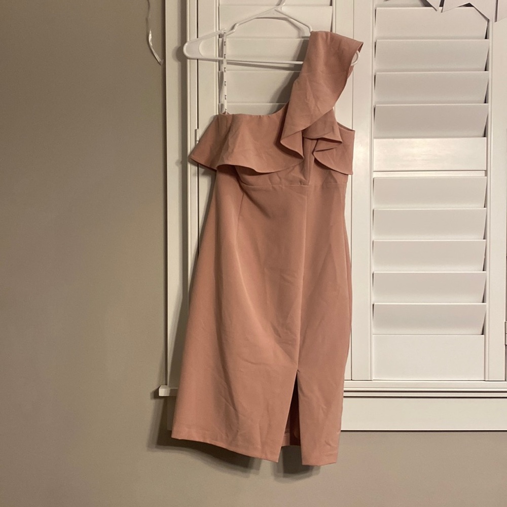 NWT blush Bardot dress. Very good condition. US size 6/Small